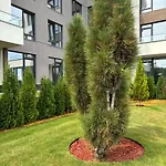 Allegra Cozy Luxury Near Business Park And 10 Min To Airport Apartment *