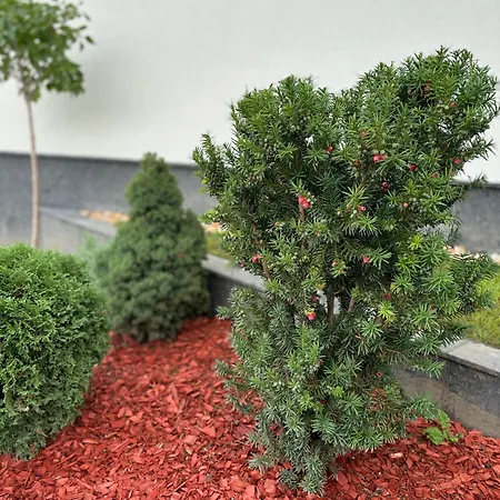 Business Park Cozy Lux & Private Garage Option Daire Sofya