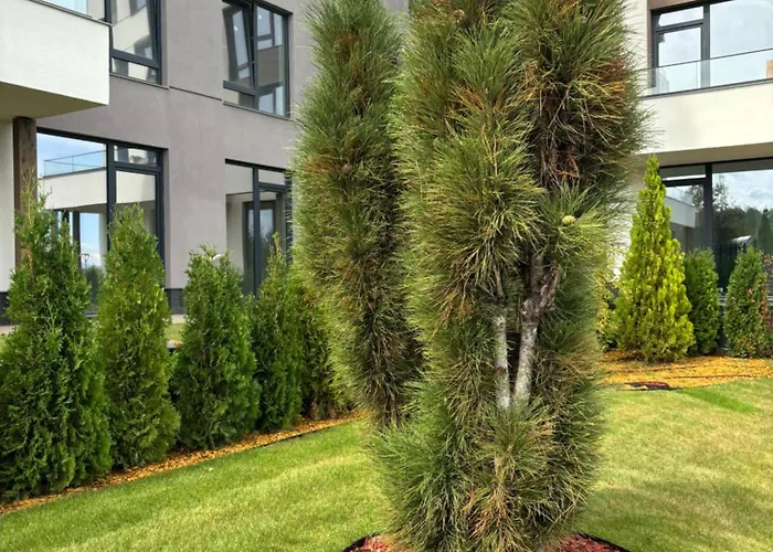 Business Park Cozy Lux & Private Garage Option Апартамент *