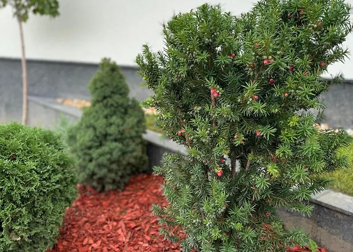 Business Park Cozy Lux & Private Garage Option Lejlighed Sofia